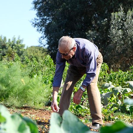 Masseria Grieco 오스투니 외부 사진